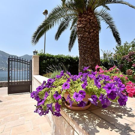 Maniva Penthouse By The Sea Daire Kotor Dış mekan fotoğraf