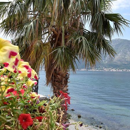 Maniva Penthouse By The Sea Daire Kotor Dış mekan fotoğraf
