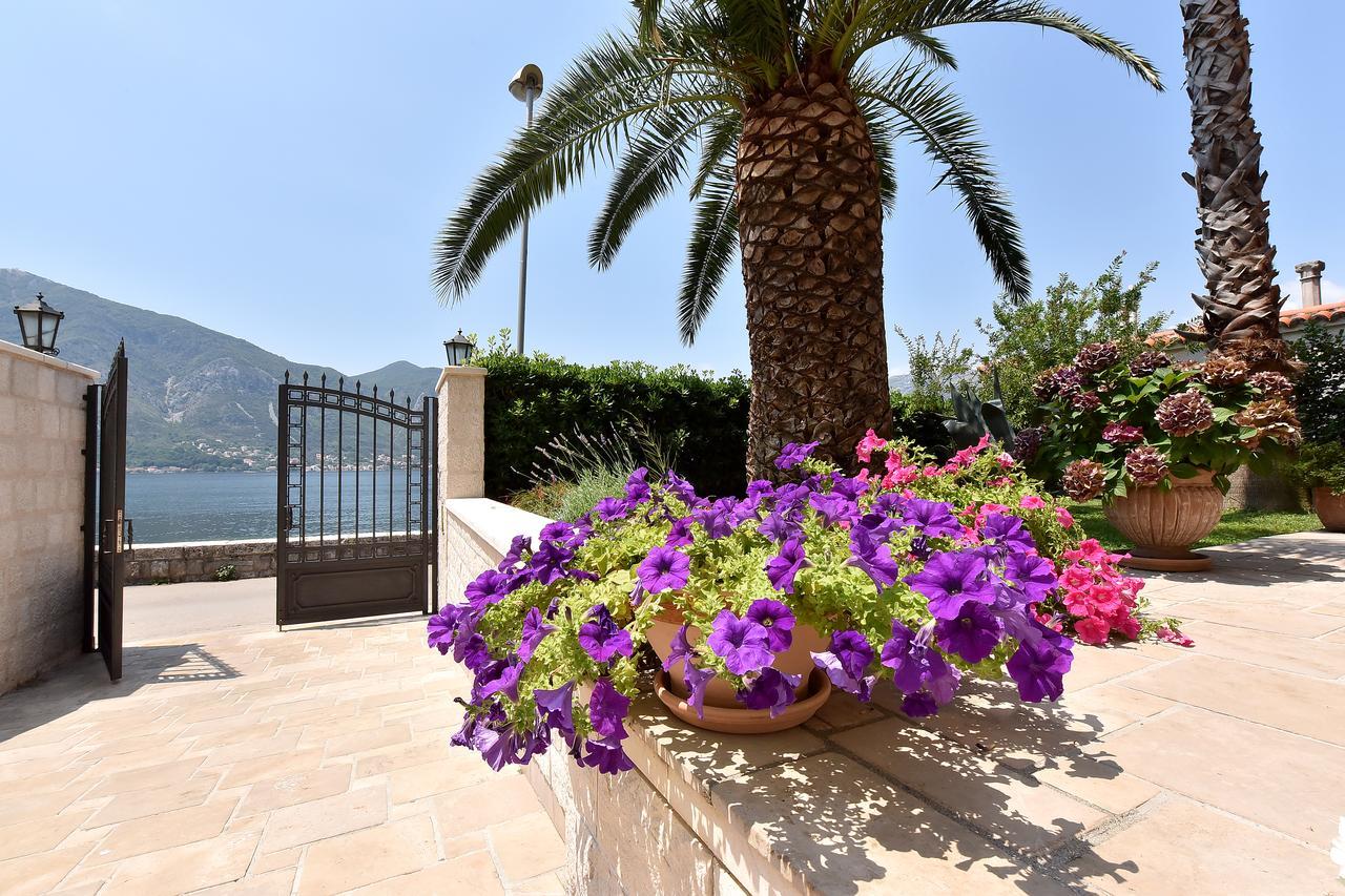 Maniva Penthouse By The Sea Daire Kotor Dış mekan fotoğraf