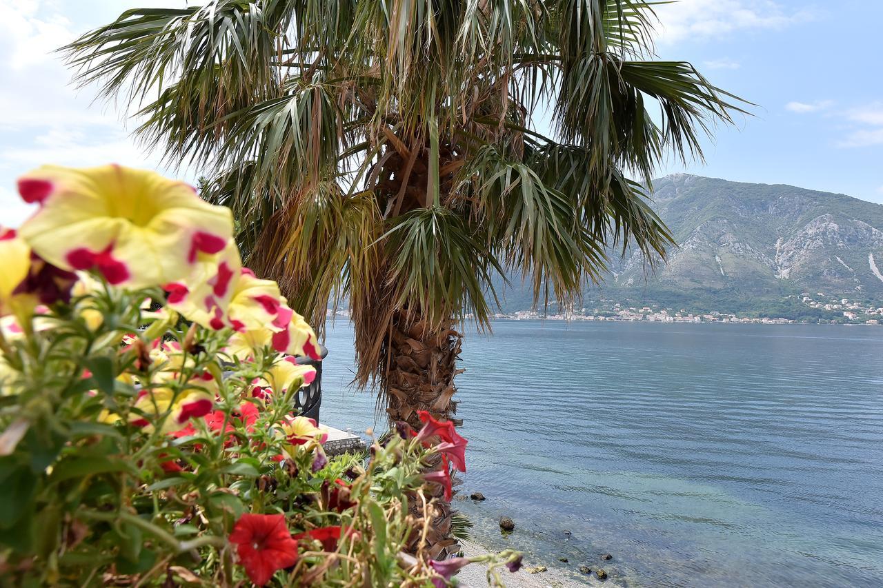 Maniva Penthouse By The Sea Daire Kotor Dış mekan fotoğraf